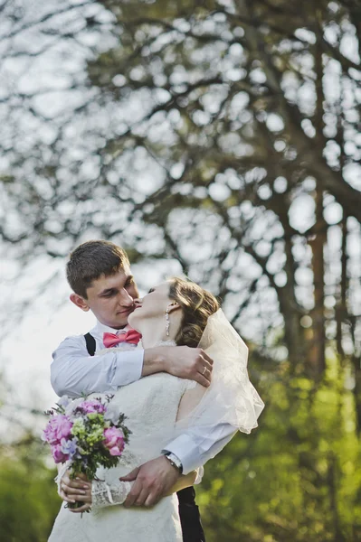 Le couple s'embrassant sur le fond de la forêt 3970 . — Photo