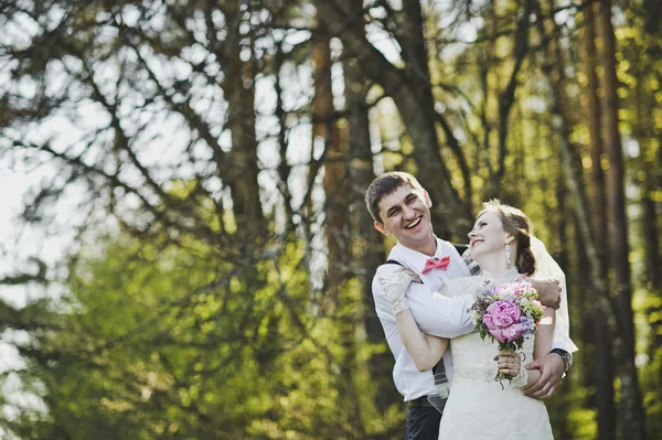 Recién casados abrazándose en el fondo del bosque 3977 . —  Fotos de Stock