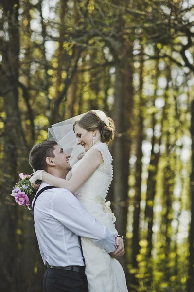 The loving glance of the newlyweds 3980. — Stock Photo, Image