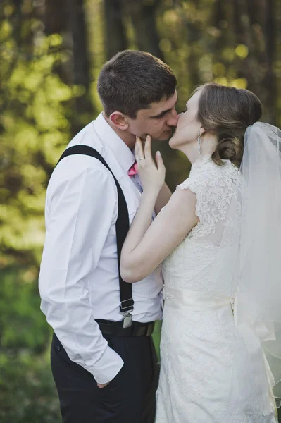 Beso de los recién casados en el fondo del bosque 3992 . —  Fotos de Stock