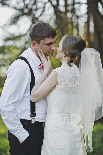 De liefdevolle blik van de pasgetrouwden 3990. — Stockfoto