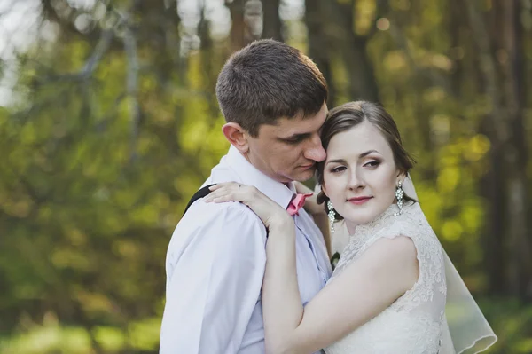 Bacio degli sposi sullo sfondo della foresta 3995 . — Foto Stock