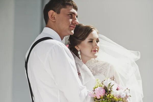 A noiva e o noivo gentilmente abraçam 4016 . — Fotografia de Stock
