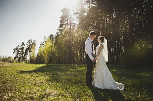 O casal se admirando na floresta 4166 . — Fotografia de Stock