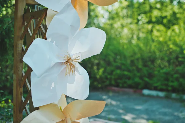 Flores adornaban la entrada al Parque 4267 . — Foto de Stock