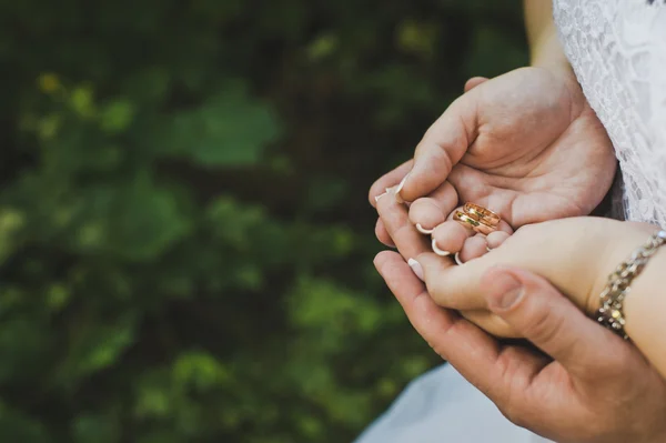 Hands with wedding rings 4341. — Stock Photo, Image