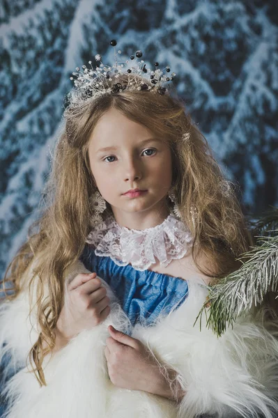 Портрет снежной королевы в зимнем лесу 4567 . — стоковое фото