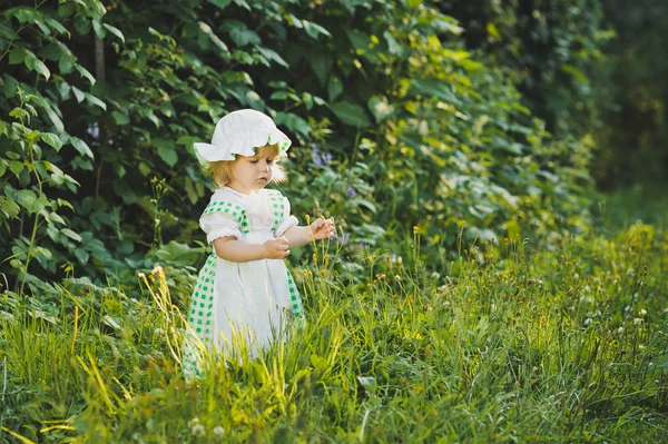 Dítě chodí v letní zahradě 4646. — Stock fotografie