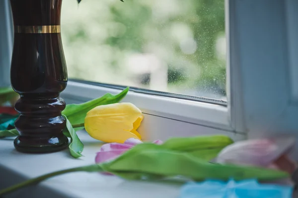 Blumen auf der Fensterbank 4800. — Stockfoto