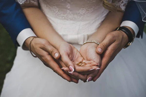 O noivo abraçando a palma da noiva com anéis 4815 . — Fotografia de Stock