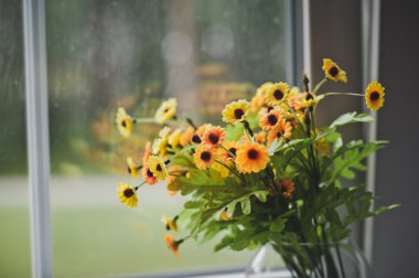 Pencerenin 5060 küçük sarı çiçekler.