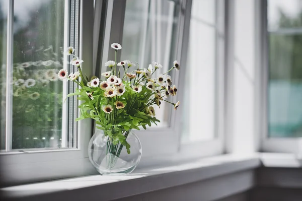 Vase rond avec petites fleurs blanches 5059 . — Photo