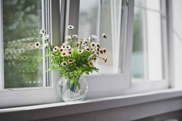 Pequeñas flores blancas en un alféizar de ventana ligero 5058 . —  Fotos de Stock