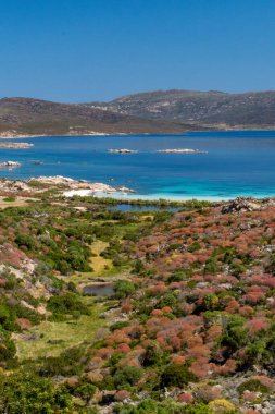 Güneş batıyor ve mavi gökyüzünün altında yeşil çimen var.