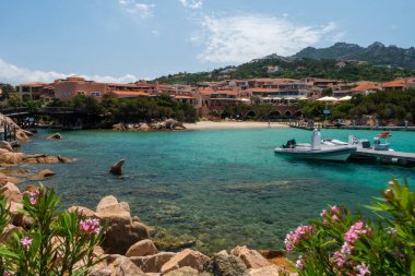 Uzun kepenk, açık sisli kıyı şeridi ve denizde kayalar var.