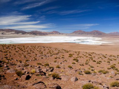 Şili 'deki tuz gölü ve dağlar. Mavi gökyüzü ve flamingolar