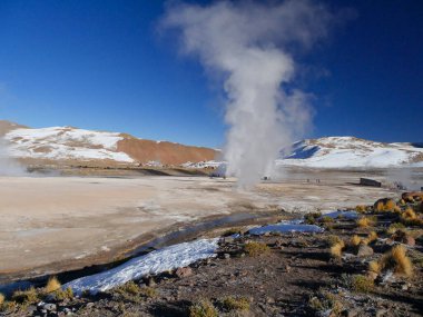 Geyser del Tatio, Atacama Çölü, Şili: Şili 'nin Atakama Çölü' ndeki Gayzer del Tatio sahasında sabah gayzer patlaması.