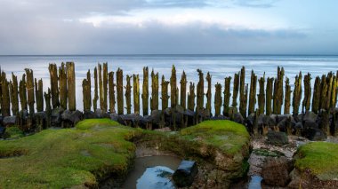 Kara fırtına Waddensea kıyı şeridi, Paesens Moddergat Friesland