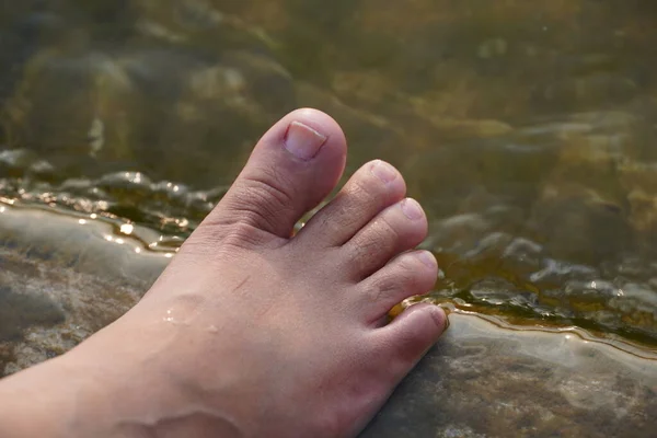 Female feet in running water. Close-up of female legs wearing jeans and resting while wetting her feet. LIJ