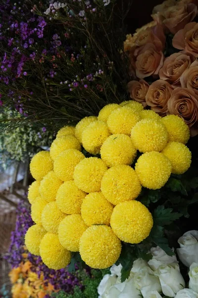 Çiçek Buketi Craspedia Çiçekçide Parlak Sarı Toplar Iuh — Stok fotoğraf