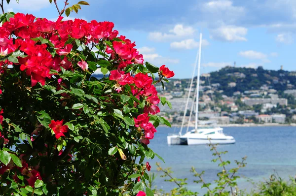 Prachtig zeezicht in Cannes — Stockfoto