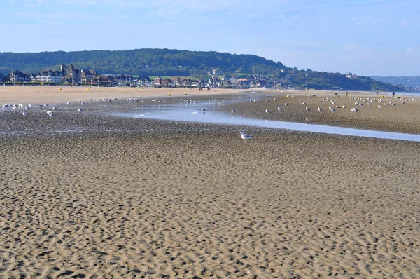 Praia de areia em Deauville Fotografias De Stock Royalty-Free