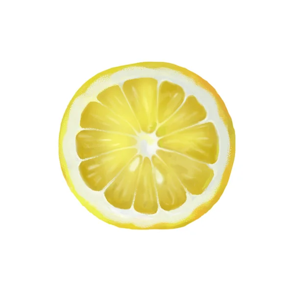 Dilimlenmiş Limon Çizimi Beyaz Arka Planda Izole Edilmiş Desenli Meyve — Stok fotoğraf