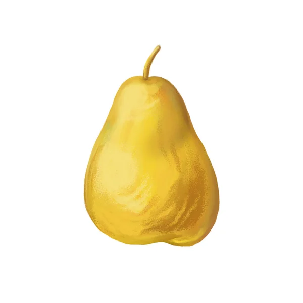 Ilustrace Žluté Hrušky Izolované Ovoce Texturou Bílém Pozadí — Stock fotografie