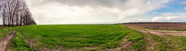 Bewölkte Frühlingslandschaft Vor Dem Hintergrund Von Feldern Und Straßen — Stockfoto