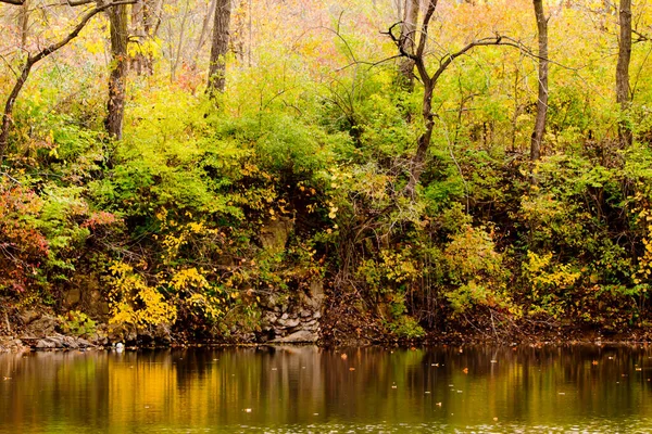 Herbst Landschaft Foto Mit Bäumen Und Reflexion Wasser — Stockfoto