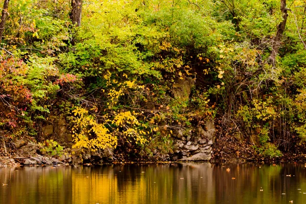 Herbstliche Seenlandschaft Mit Leuchtenden Farben Und Spiegelungen Wasser — Stockfoto