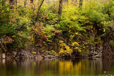 Suda yansımaları olan güzel sonbahar manzarası. 