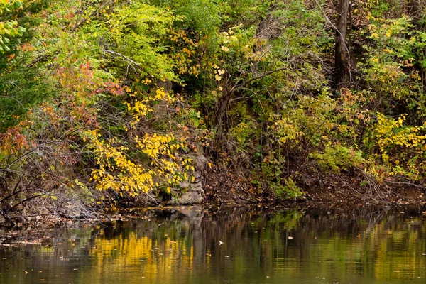 Herbstlandschaft Mit Laub Und Spiegelung Wasser — Stockfoto