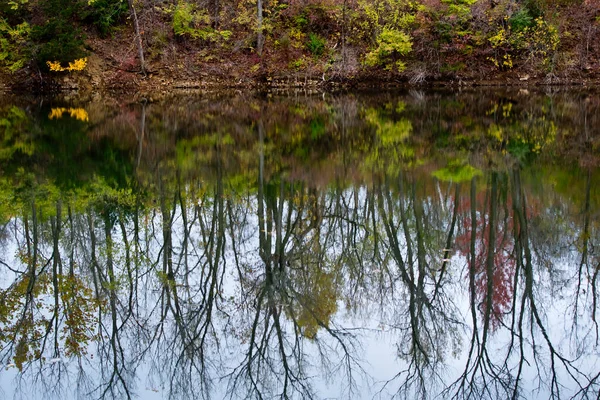 Spiegelung Der Baumlandschaft Wasser — Stockfoto