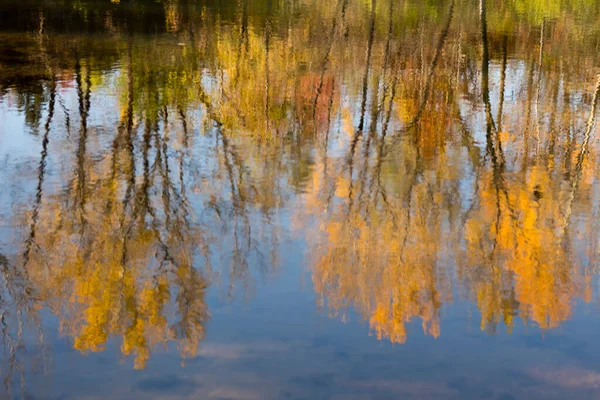 Orangene Herbstbäume Spiegeln Sich Wasser — Stockfoto