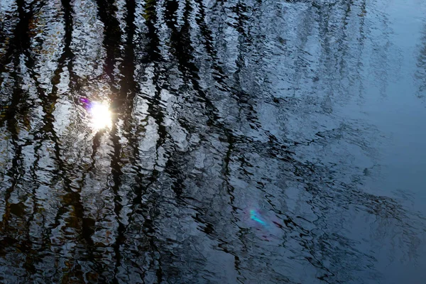 Абстрактный Силуэт Дерева Солнце Отражаются Воде — стоковое фото
