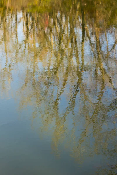 Eerie Autumn Scene Reflected Rippled Water — Stock Photo, Image