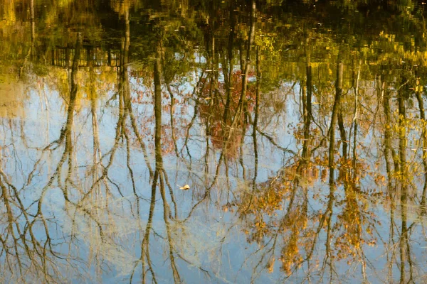 Ruhige Herbstszene Spiegelt Sich Wasser Wider — Stockfoto