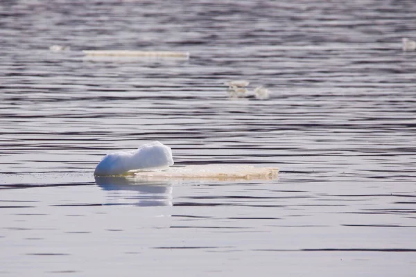 Petit Iceberg Dans Eau Début Printemps — Photo