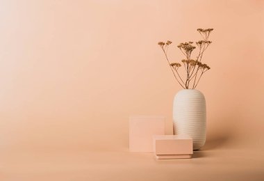 Modern soyut geometrik şekilli podyum pastel arka planda kurumuş çiçekler