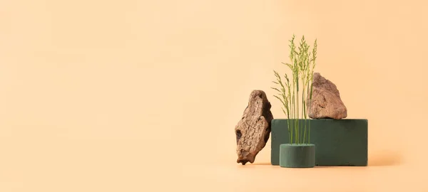 Modern soyut podyum tahta geometrik şekiller bitkiler çimen pastel pembe arka plan. Uzayı yatay olarak kopyala 