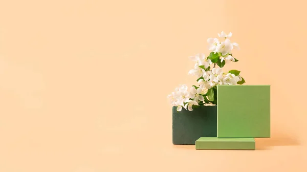 현대의 추상적 인 연단 녹색 종이 기하학적 도형은 흰색 꽃들 이 연분홍 배경을 이루고 있다. 복사 공간의 수평 깃발 — 스톡 사진