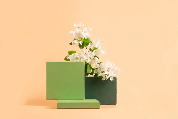 Nowoczesny abstrakcyjny podium zielony papier geometryczne kształty białe kwiaty pastelowy różowy tło. Kopiuj baner poziomy przestrzeni — Zdjęcie stockowe