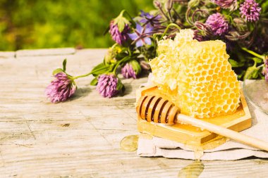 Taze bal peteği, yaz aylarında kırsal bir arka planda, ahşap bir kase üzerinde otlarla birlikte yatar. Çiçek kokulu tatlı tatlı tatlı