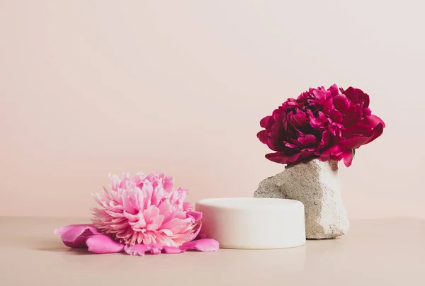 Modern podyum ahşap geometrik şekiller taş yeşil bitki çiçekleri şakayık pastel arka plan. Soyut arkaplan