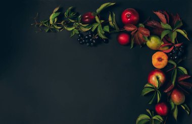 Şükran Günü hasat konsepti. Sonbahar mevsimi meyveleri elmalar armut yaprakları çerçeve siyah arka plan ile kaplı. 