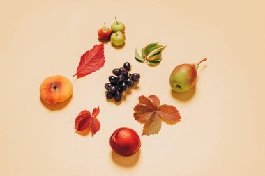 Sonbahar. Elma, armut, dökülen üzüm yaprakları pastel bir arka planla kaplıdır. Sonbahar düz düzeni