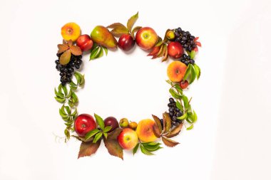 Sonbahar meyveleri, armutlar, düşmüş üzümler, çerçeveli beyaz arka plan. Şükran Günü hasat konsepti