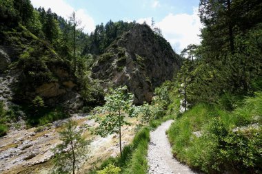 Yürüyüş için harika bir gün: Aşağı Avusturya 'daki Oetschergraben' de güzel bir patika / Oetscher Dağı 'nın yanındaki muhteşem kanyon 