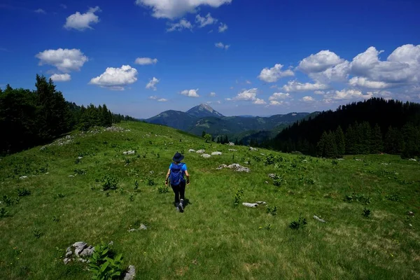 Maravilhoso Dia Para Caminhadas Jovem Mulher Esportiva Caminhadas Prado Alpino — Fotografia de Stock